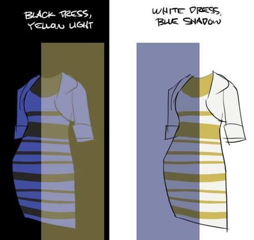اختلاف شخصان على لون فستان واحد