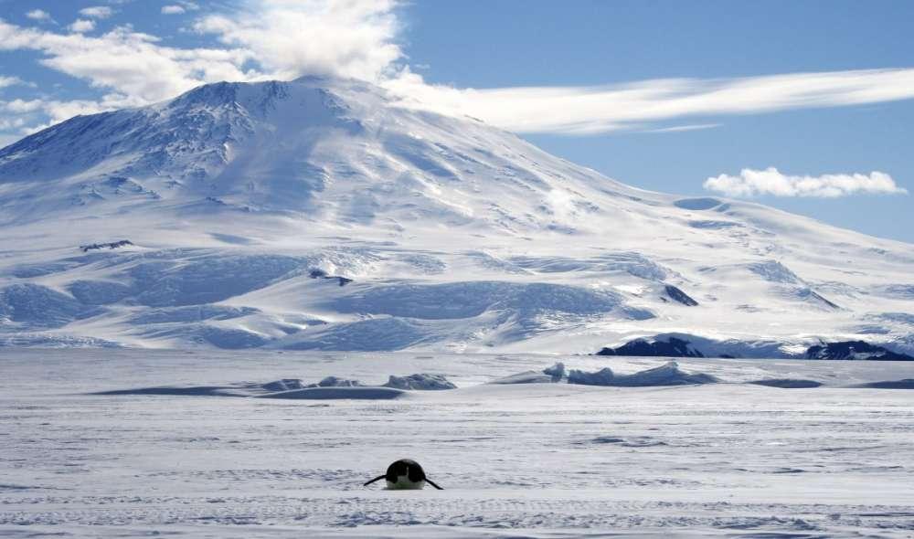 القارة القطبية الجنوبية أكبر صحراء
