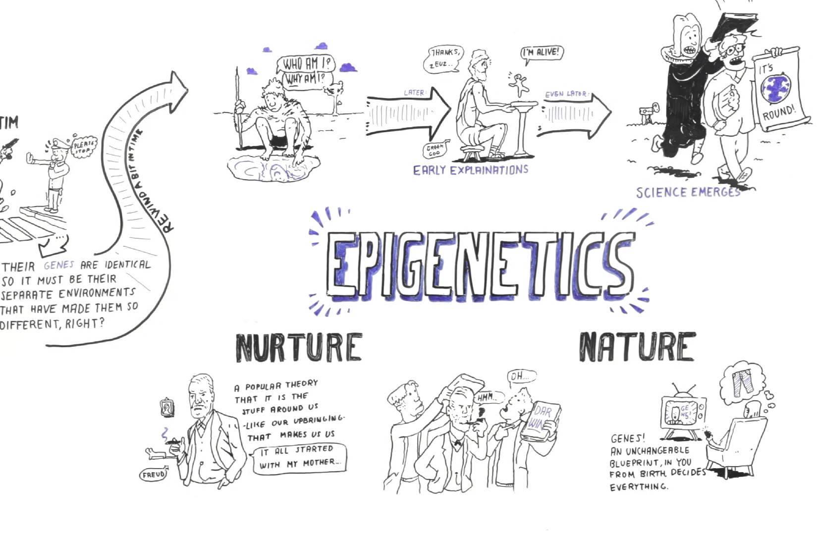 Nature And Nurture And Epigenetics