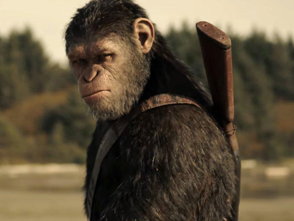 شاهد أجمل أفلام الأكشن..War for the Planet of the Apes فيلم 