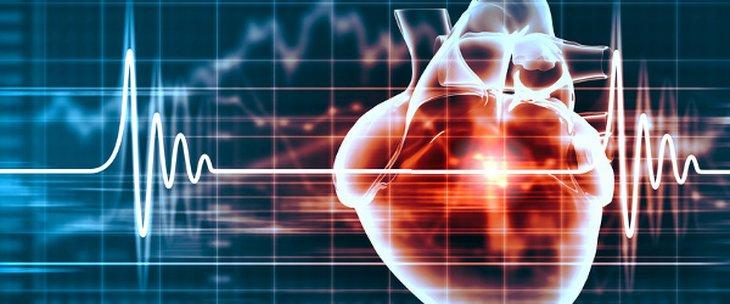 اختصاص الأمراض القلبية - الطب البشري