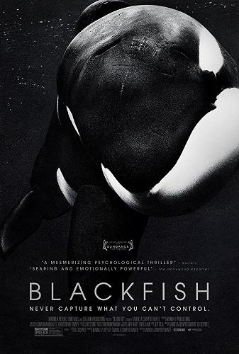Blackfish بوستر - أفلام وثائقية