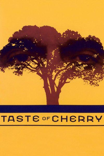 فيلم Taste of Cherry - الأفلام الإيرانية