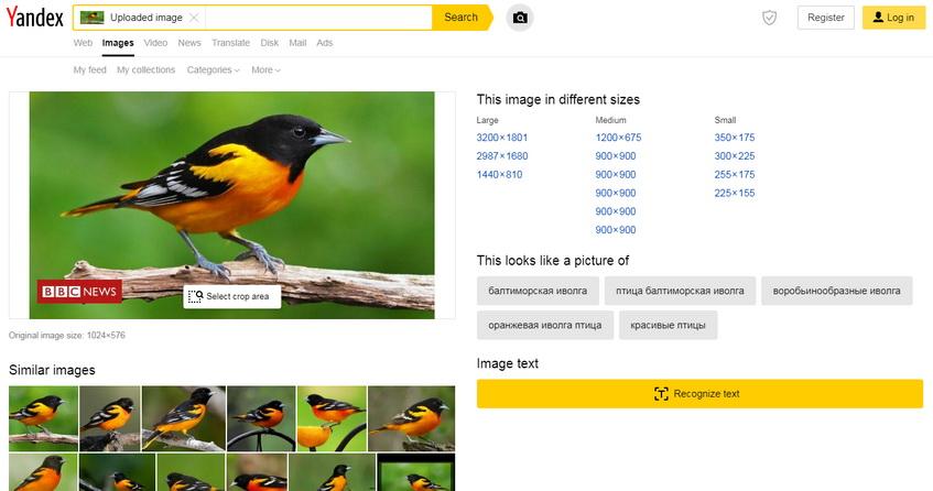 استخدام موقع yandex للبحث عن صورة