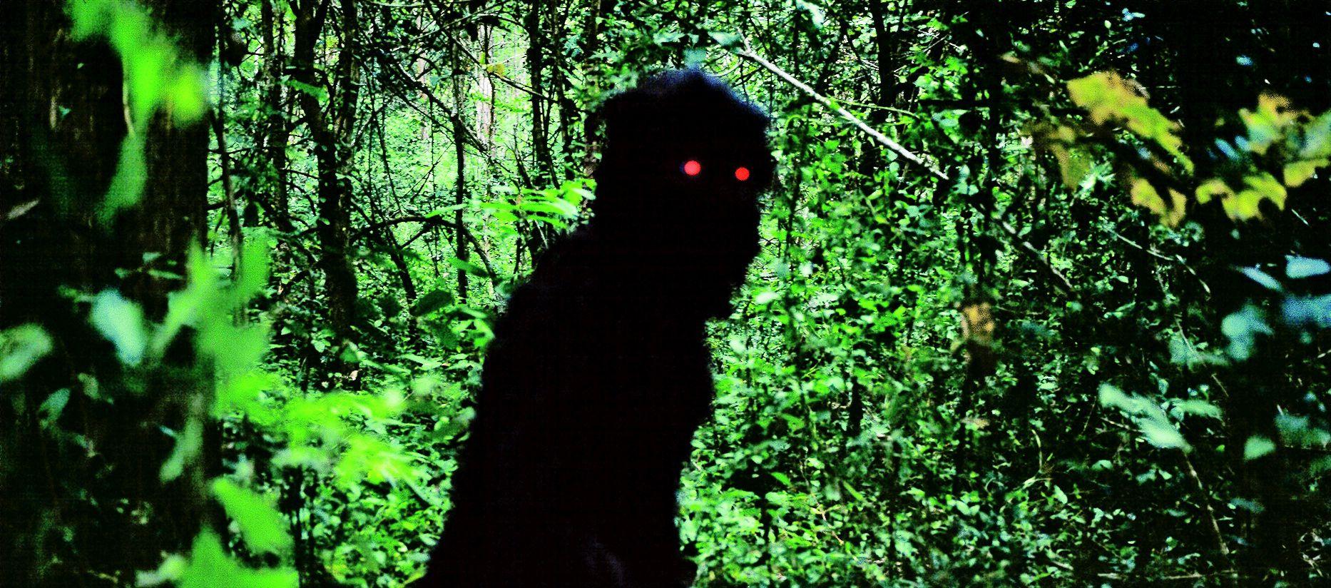 Uncle Boonmee Who Can Recall His Past Live صورة فيلم 