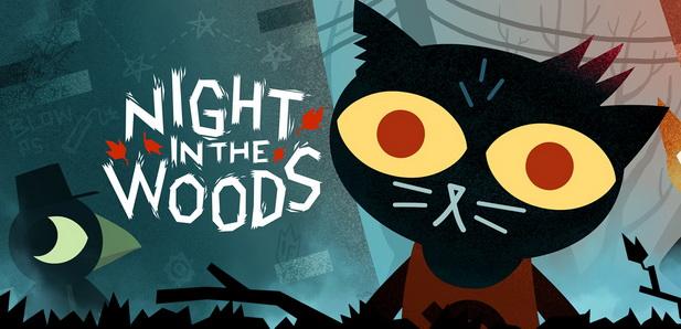  Night in the woods