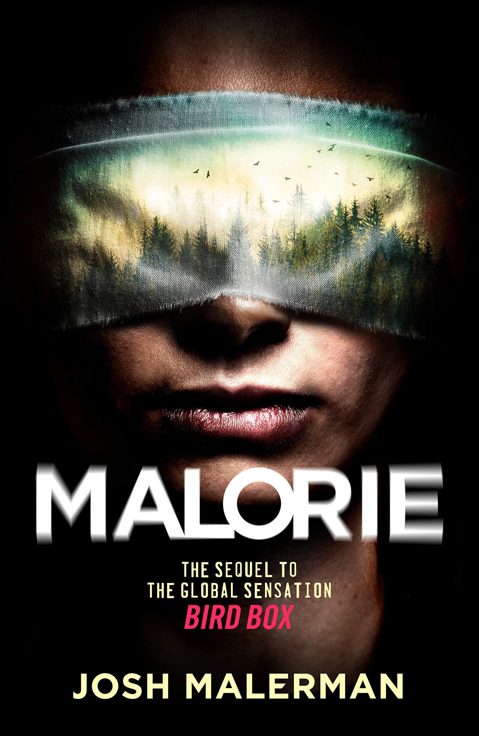 رواية "Malorie" من أفضل روايات رعب 2020