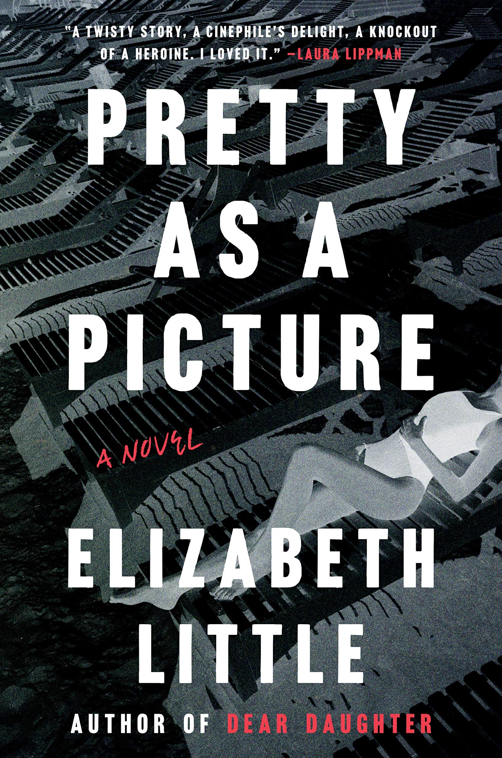 رواية "Pretty as a Picture" من أفضل روايات في 2020