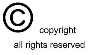 copyright تراخيص البرامج