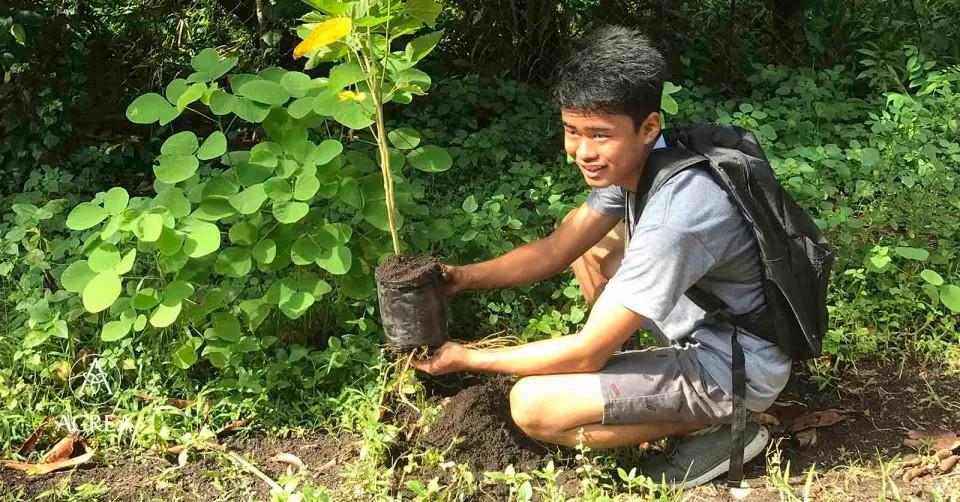 التربية البيئية - فتى يزرع شجرة
