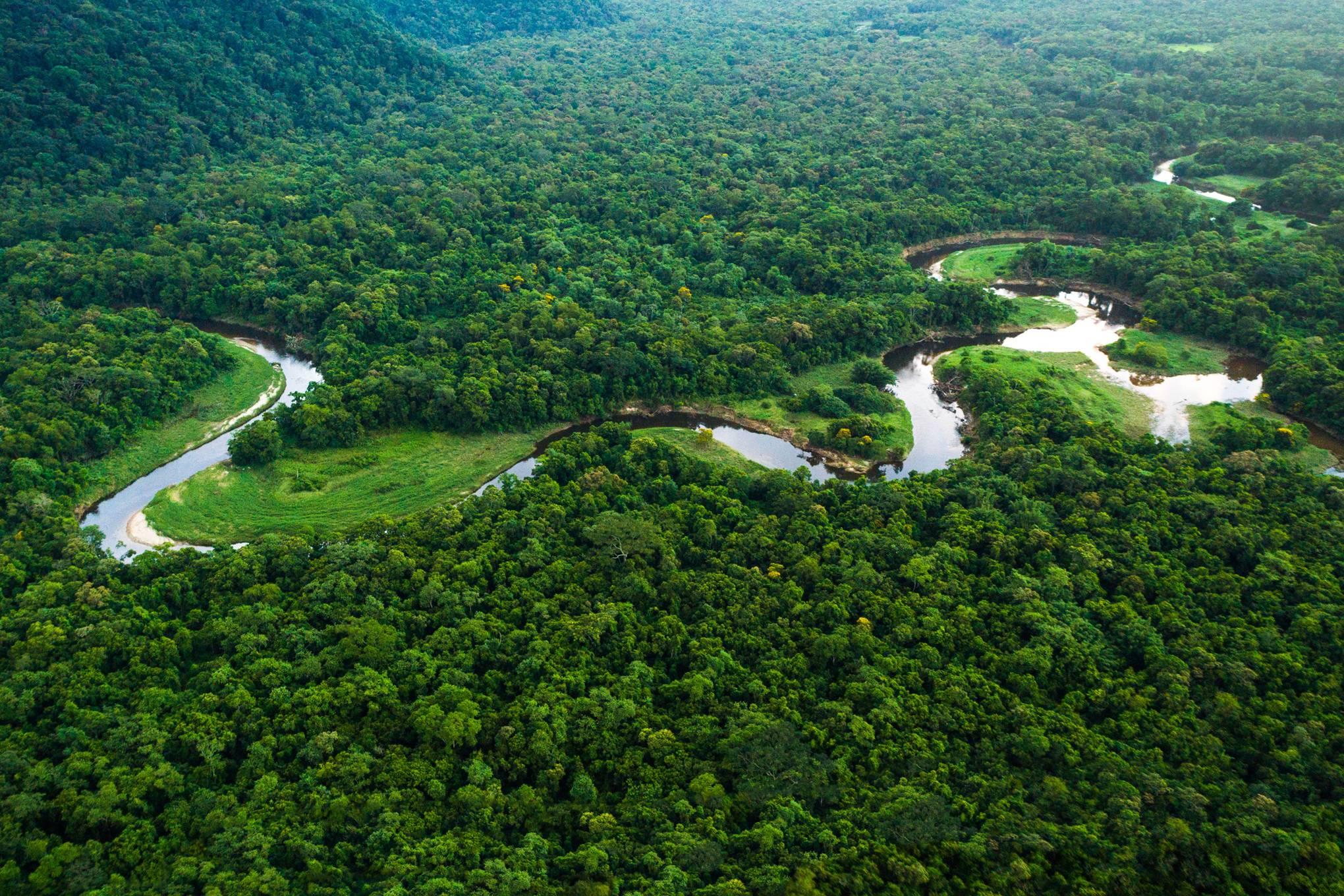 الأوكسجين - غابات الأمازون