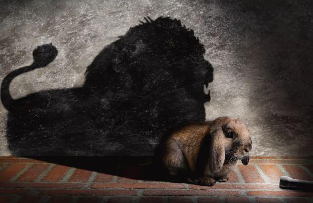 قانون مورفي