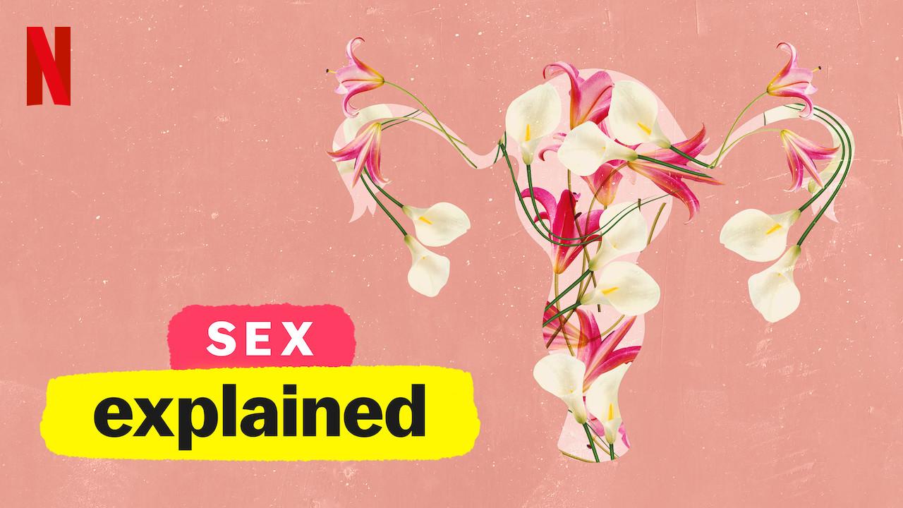 صورة للرحم من مسلسل sex explained الغضو الأساسي لتكون الجنين والولادة
