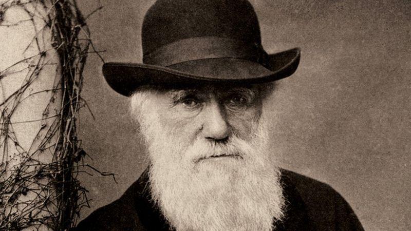 تشارلز داروين - نظرية التطور - الانتخاب الطبيعي - أصل الأنواع