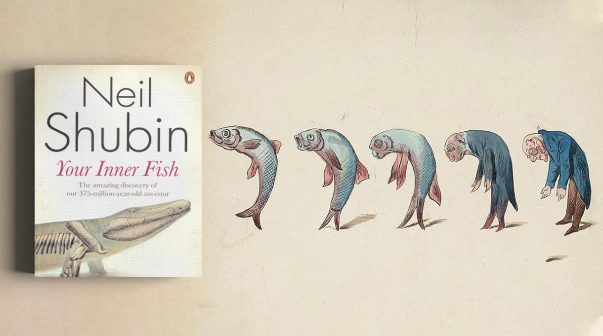 السمكة بداخلك - نظرية التطور - نيل شوبين