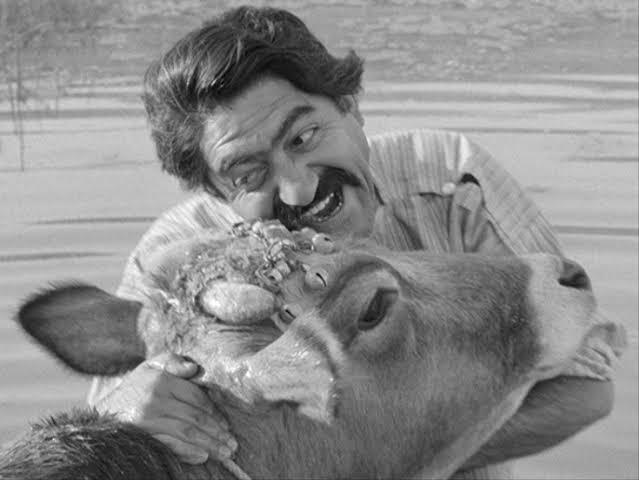 فيلم البقرة، بداية الموجة الثانية في إيران. 