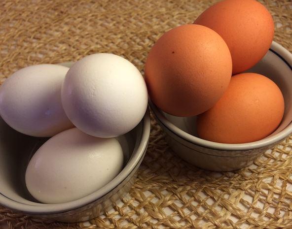 الفرق بين البيض البني والأبيض 