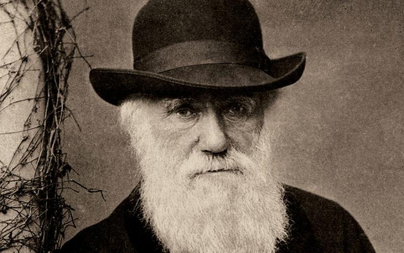 داروين نظرية التطور 