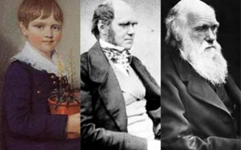 داروين نظرية التطور أصل الأنواع