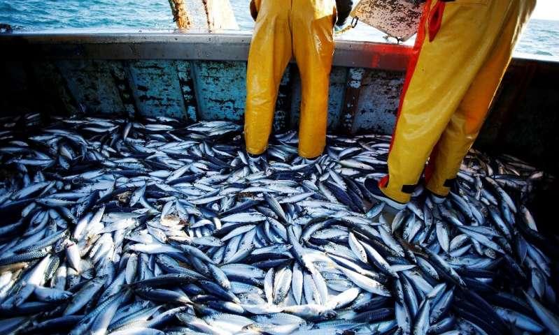 أخطار تهدد التنوع البيولوجي - الصيد الجائر