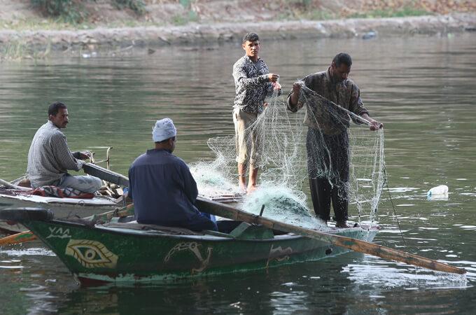 أنواع السمك في مصر- الصيد في نهر النيل