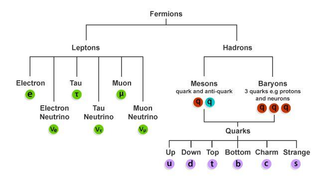 صورة توضيحية لتصنيفات الفرميونات مع رمز كل منها
