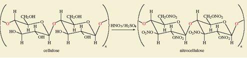 تحوّ السيللوز إلى النتروسيللوز (Nitrocellulose)