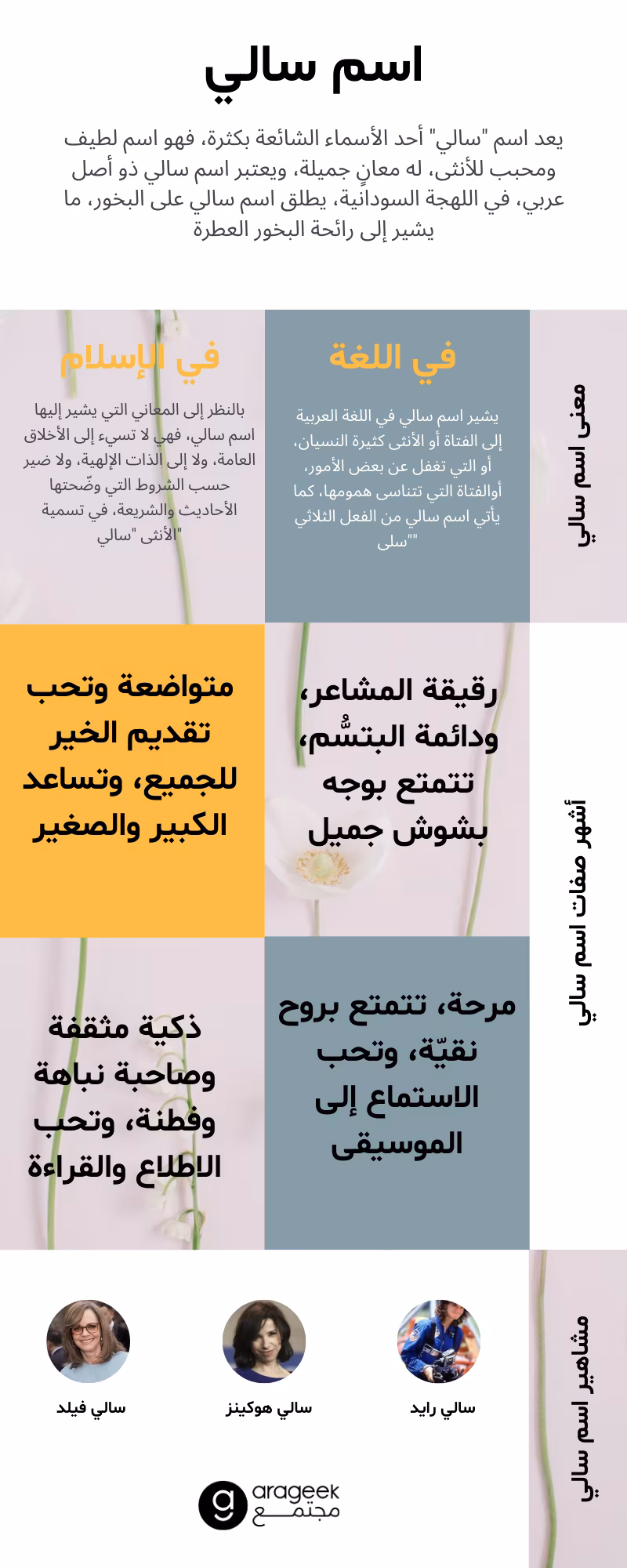 معنى اسم سالي