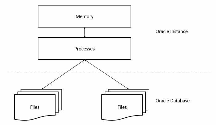 بنية قاعدة بيانات Oracle