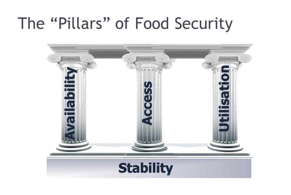 أبعاد الأمن الغذائي