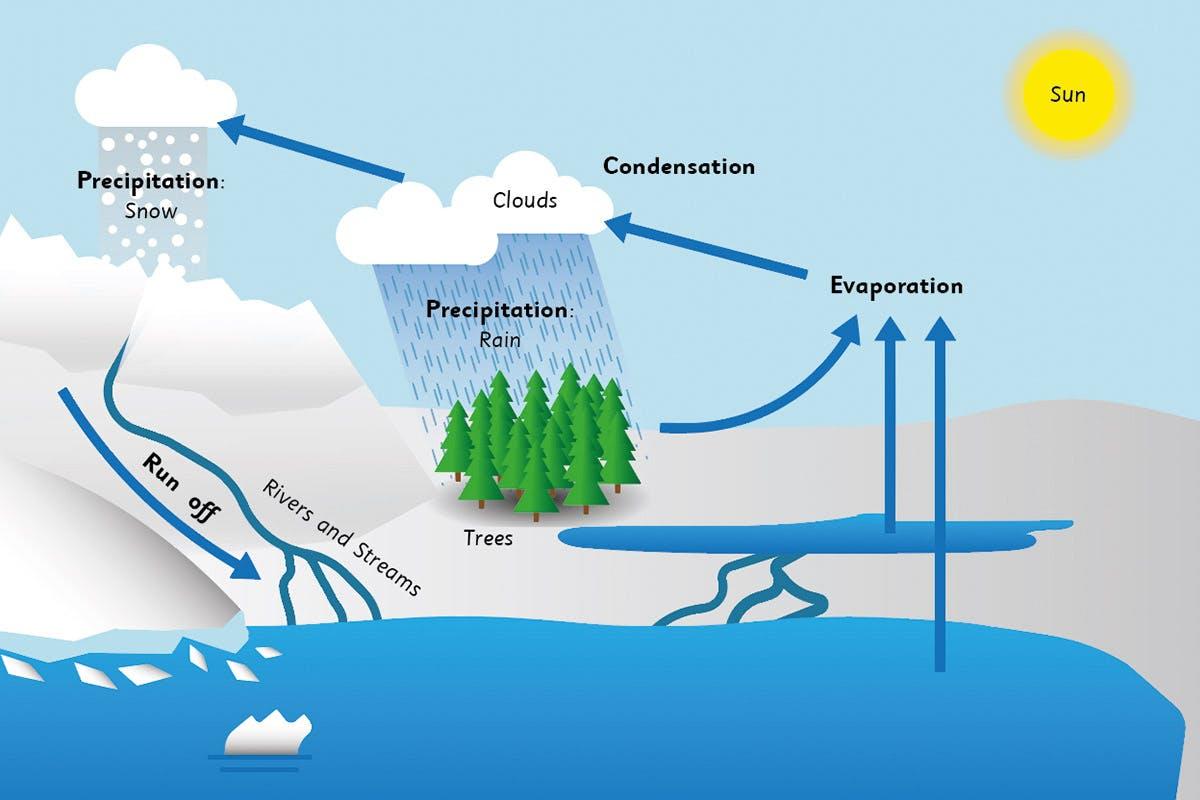 مصادر الماء - الدورة المائية (الهيدرولوجية) في الطبيعة 