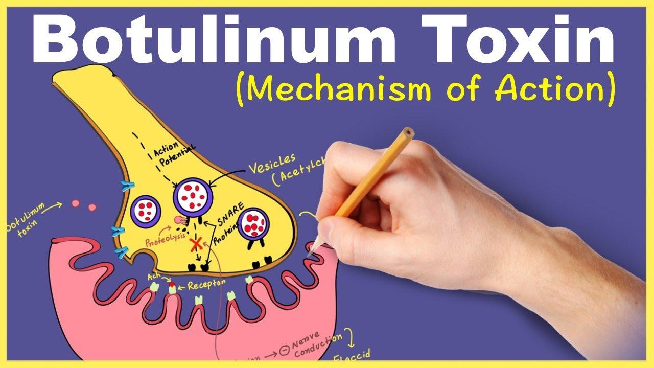 سم البوتيولينيوم (Botulinum)