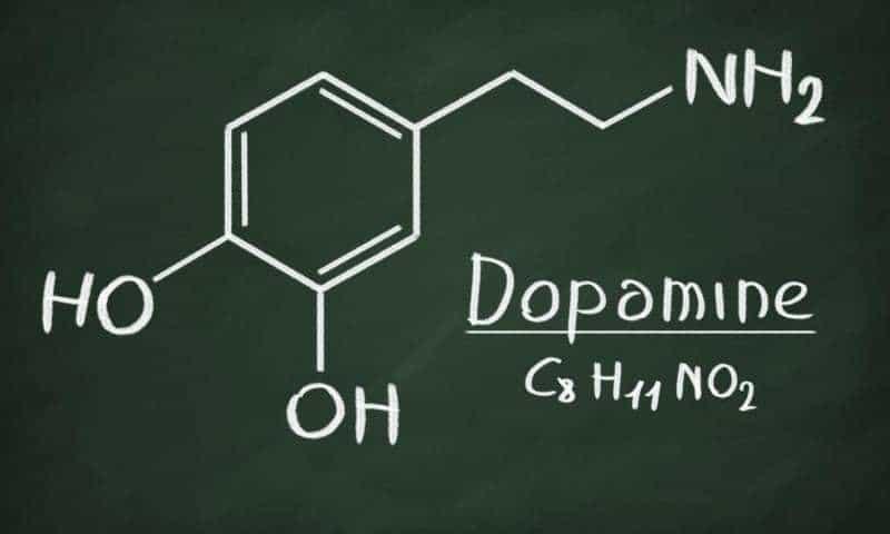 تركيب الدوبامين