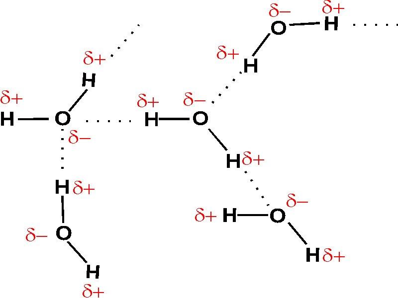 كيف تتكون روابط الهيدروجين
