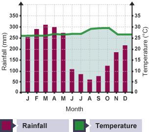 مخطط بياني للهطولات المطرية ودرجات الحرارة في منطقة خط الاستواء