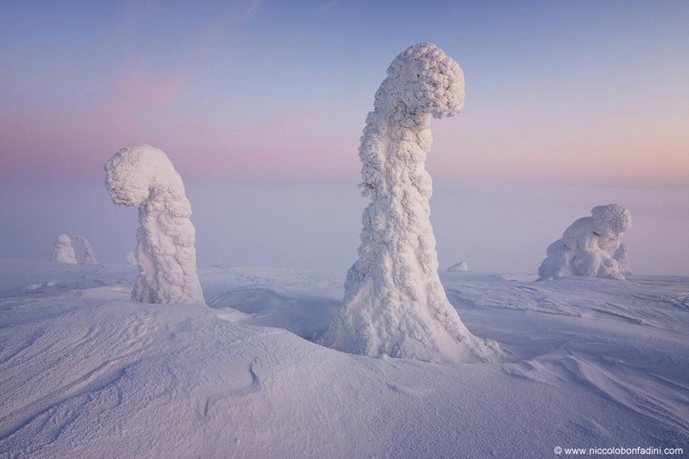 حراس القطب الشمالي- فنلندا - أكثر الأماكن غرابة