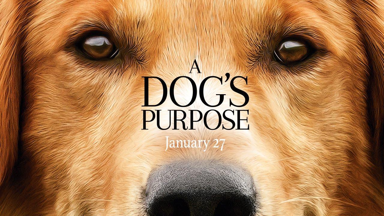 بوستر فيلم A Dog's Purpose