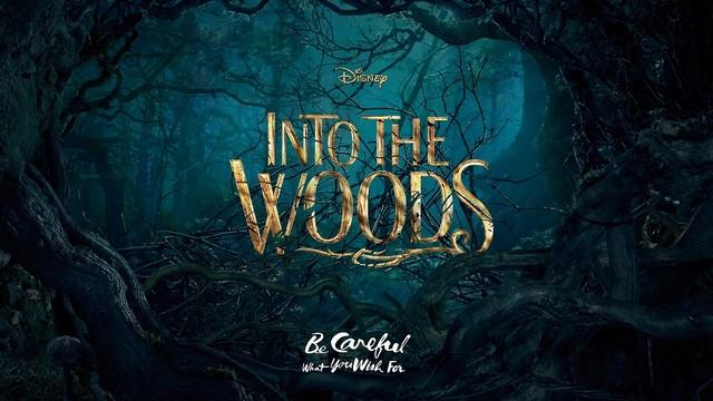 افلام المغامرات والفانتازيا 2014 - فيلم Into the Woods
