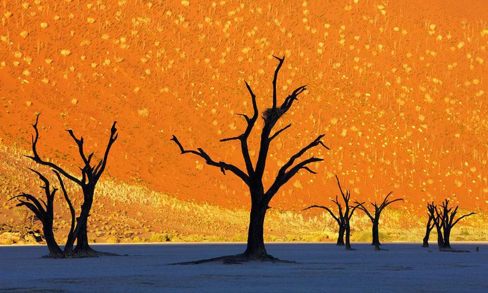 الوادي الميت –نامبيا