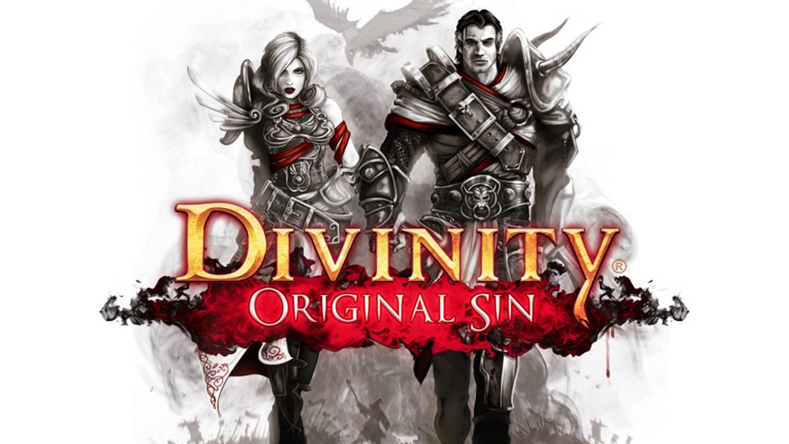 Divinity: Original Sin وهي من أفضل ألعاب الكمبيوتر
