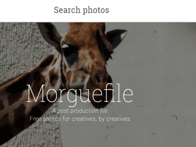 موقع Morguefile - افضل مواقع تحميل الصور المجانية والفيديو