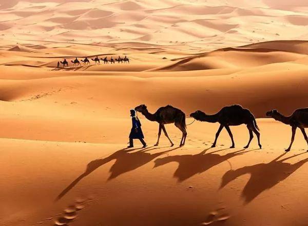 صحراء المغرب 2