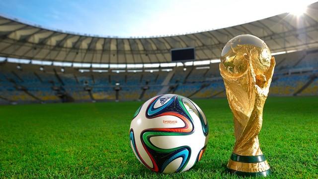 كأس العالم 2014 - تكنولوجيا خط المرمى