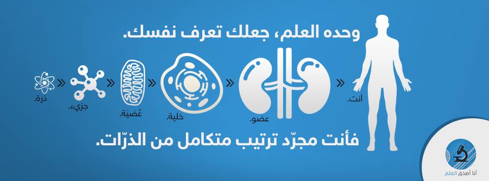 صفحة أنا أصدق العلم - المحتوى العربي على الانترنت