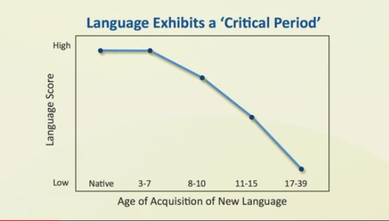 القدرات اللغوية والمعرفية للأطفال