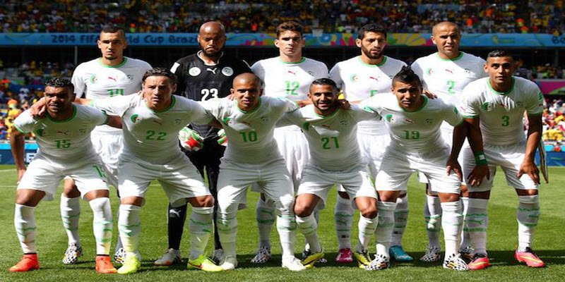 منتخب الجزائر، كأس العالم البرازيل 2014