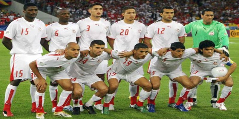 منتخب تونس، كأس العالم ألمانيا 2006