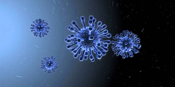 فيروس إنفلونزا H5N1