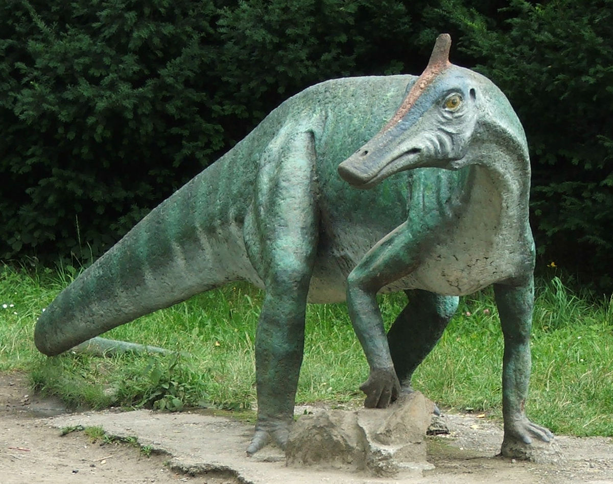 ديناصور سورولوفس (Saurolophus)