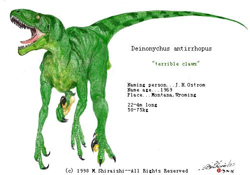ديناصور دينونيكوس (Deinonychus)